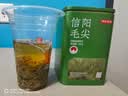 京东京造【2026新茶】明前信阳毛尖250g春茶叶绿茶地标认证口粮茶中秋礼物 实拍图