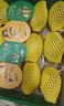 佳沛（zespri）新西兰金奇异果10粒巨大果146-175g猕猴桃中秋节礼品送水果礼盒 实拍图