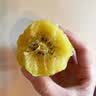 佳沛（zespri）新西兰金奇异果10粒巨大果146-175g猕猴桃中秋节礼品送水果礼盒 实拍图