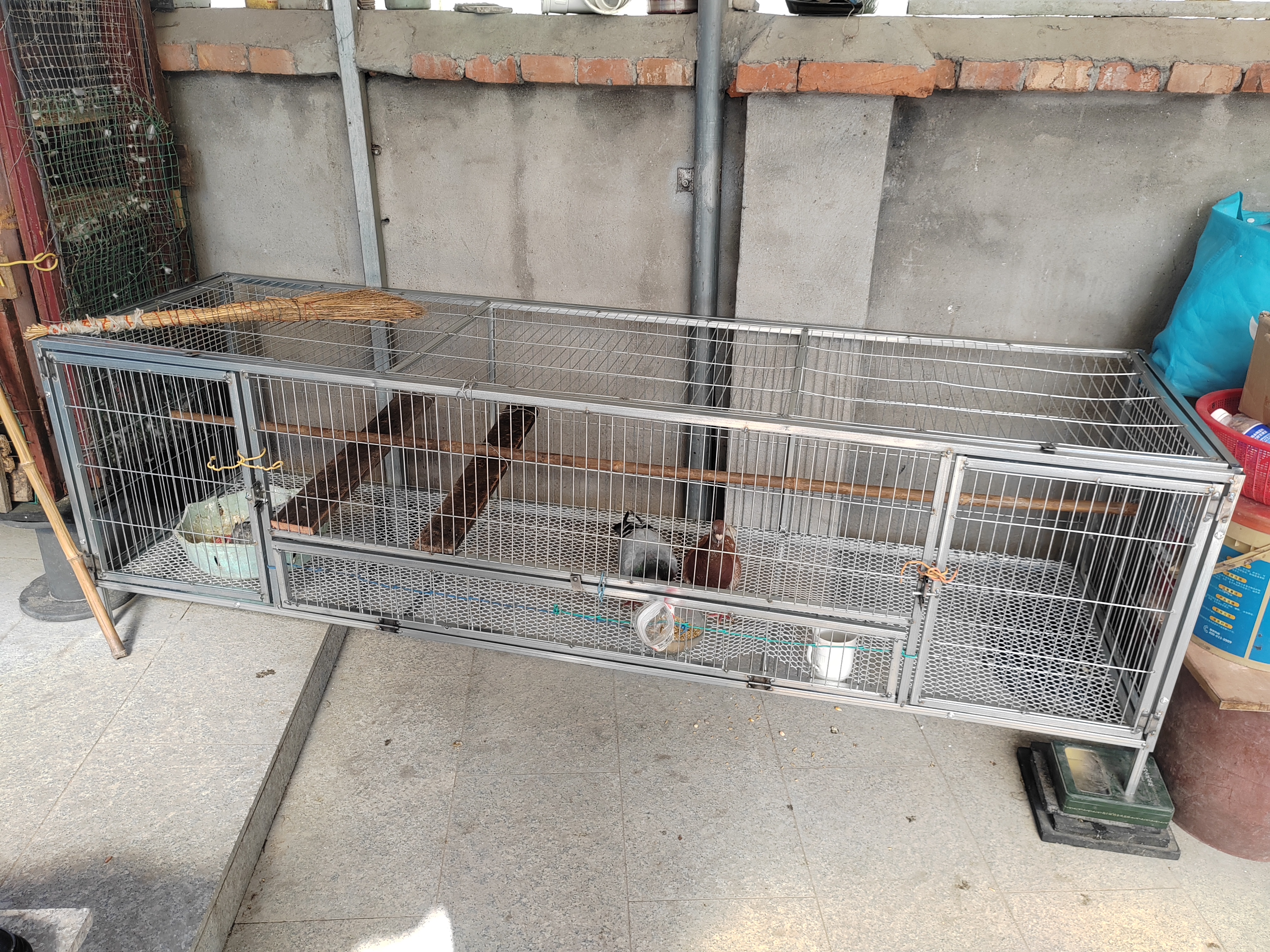 京东快递大号鸡笼家用室外镀锌防雨防黄鼠狼自动清粪鸡鸭鹅猫狗笼 【镀锌加粗方钢】200*58*62cm【侧开门+天窗】 实拍图