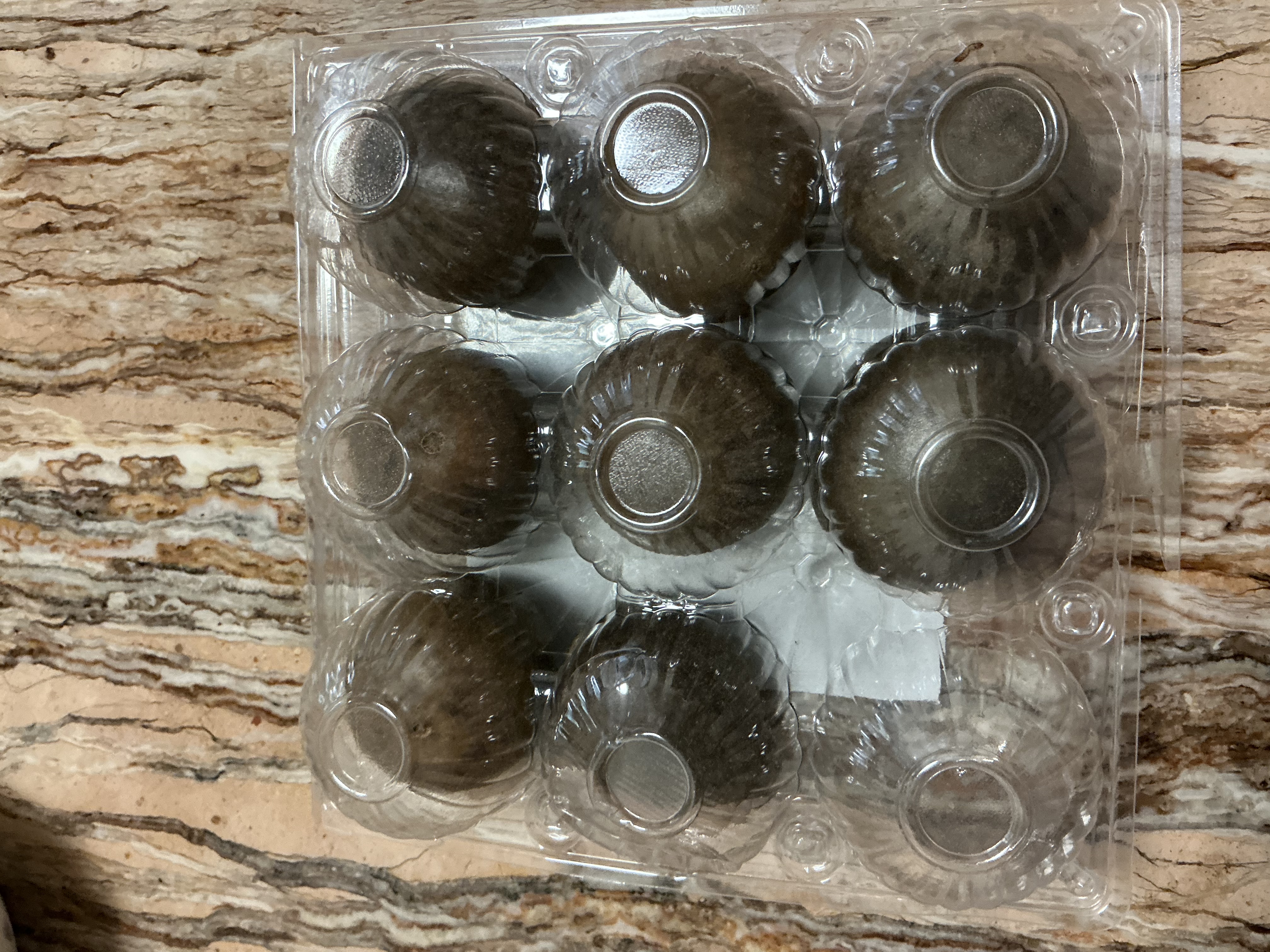 修年堂罗汉果9枚/盒 罗汉果茶果干 颗颗精选原产大果9颗泡水花草养生茶  实拍图