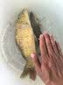 小凤仙变色夜光漂锤头尾发光漂夜钓电子漂鲫鱼漂浮漂加粗醒目近视漂 实拍图