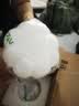 雷士（NVC）白色奶油风玄关灯书房卧室吸顶灯走廊灯壁灯22瓦 实拍图