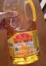 鲁花 【保真花生油】食用油 5S 物理压榨 压榨一级 花生油2.5L 实拍图