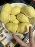 京鲜生 进口金枕头鲜榴莲 净重5-6斤 1个装 新鲜榴莲 水果教师节送礼 实拍图