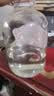 九江双蒸米香型白酒 自饮泡酒米酒60度桶装纯粮食酒5.1L散酒药材养生泡酒 实拍图