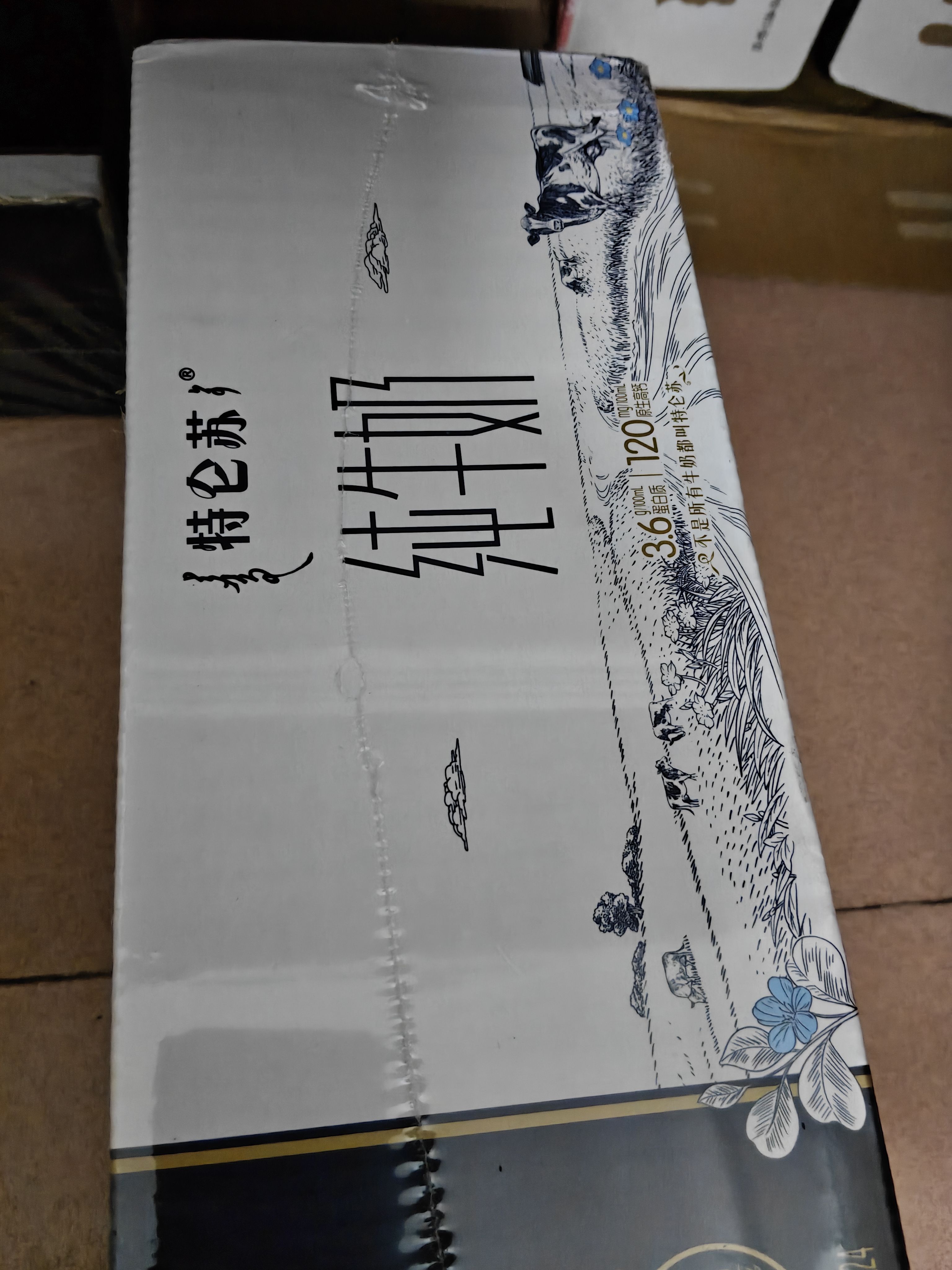 蒙牛特仑苏纯牛奶200mL*24盒 家庭囤货整箱牛奶早餐奶  实拍图