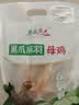 草原宏达土鸡老母鸡 散养黑脚母鸡 月子鸡煲汤整鸡 黑爪母鸡2.4斤 实拍图