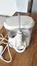 Waterpik洁碧冲牙器WF150EC Ultra Plus全年龄段适用家用台式洗牙器水牙线洁牙器送老公老婆礼品生日礼物 WF150珍珠白（Ultra Plus） 实拍图