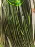 七鲜24小时绿色韭菜 250g 实拍图