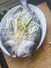 恒兴食品三去开背海鲈鱼1.05kg 3条装 鲜活去鳞去鳃去内脏中秋聚餐送礼 实拍图