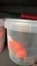 三顿半澎湃装精品黑咖啡 拿铁美式冷萃风味速溶咖啡混合装60颗*2g 实拍图