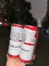 百威冰啤酒500ml*18罐整箱装【99%好评】京东自营中秋送礼 实拍图