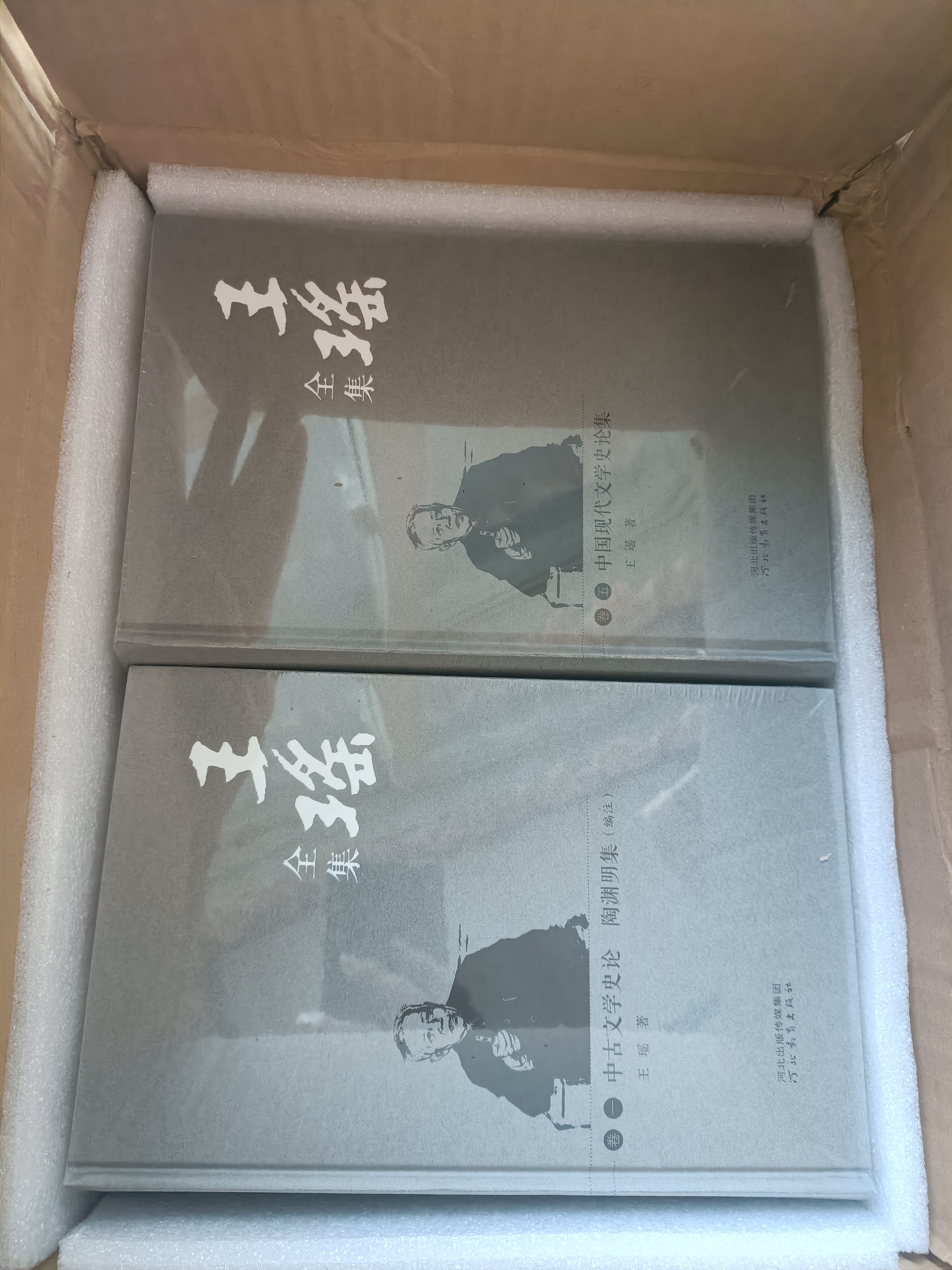 王瑶全集 精装全八卷 中古文学史论陶渊明集（编注）+李白中国诗歌发展讲话中国文学论丛+中国新文学史稿+中国现代文学史论集+鲁迅与中国文学鲁迅作品论集+竟日居文存+润华集瑶书信选王瑶年谱王瑶著译年表 图 晒单实拍图