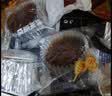 壹得利蜂巢蛋糕面包点心夹心代早餐营养休闲零食品办公充饥蜂蜜小吃560g 实拍图