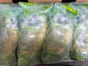 都乐Dole 菲律宾甜蕉2斤盒装 香甜软糯 生鲜水果 源头直发 包邮 水果 实拍图