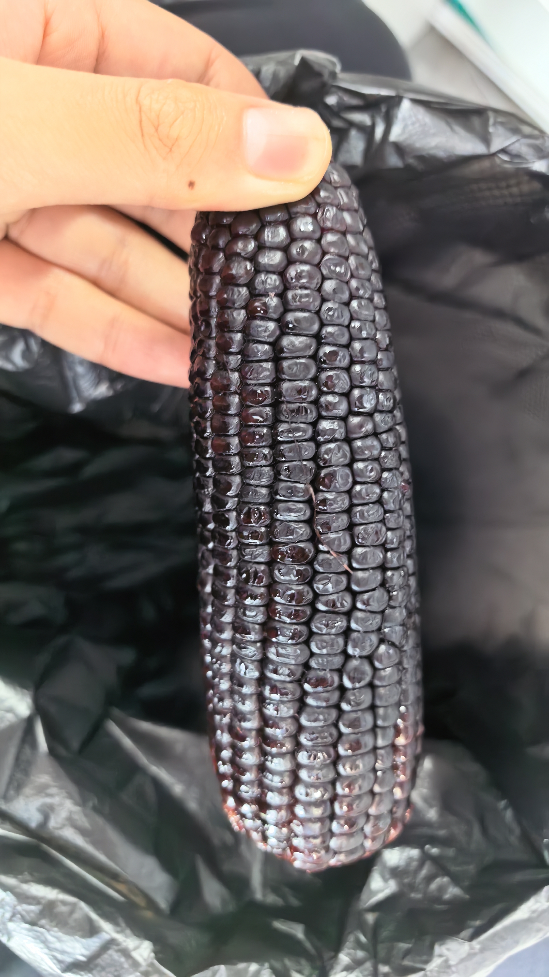 农科玉黑紫糯玉米3.68斤230g*8根营养粗粮杂粮东北苞米棒早代餐零食 实拍图