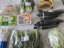上海青约500g(油菜) 实拍图
