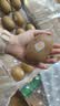佳沛（zespri）新西兰金奇异果18粒超大原箱175-204g猕猴桃中秋节礼品送水果礼盒 实拍图