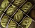 佳沛（zespri）新西兰金奇异果10个装单果重103-114g猕猴桃中秋节礼品送水果礼盒 实拍图