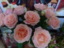 京东鲜花玫瑰花【红色随机】20枝新鲜采摘山东基地日常礼品花暖心源头直发 实拍图