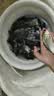 刘志强饵料野钓专用全能腥全能香鱼饵鲫鱼饵料鲤鱼钓鱼专用通杀饵 实拍图