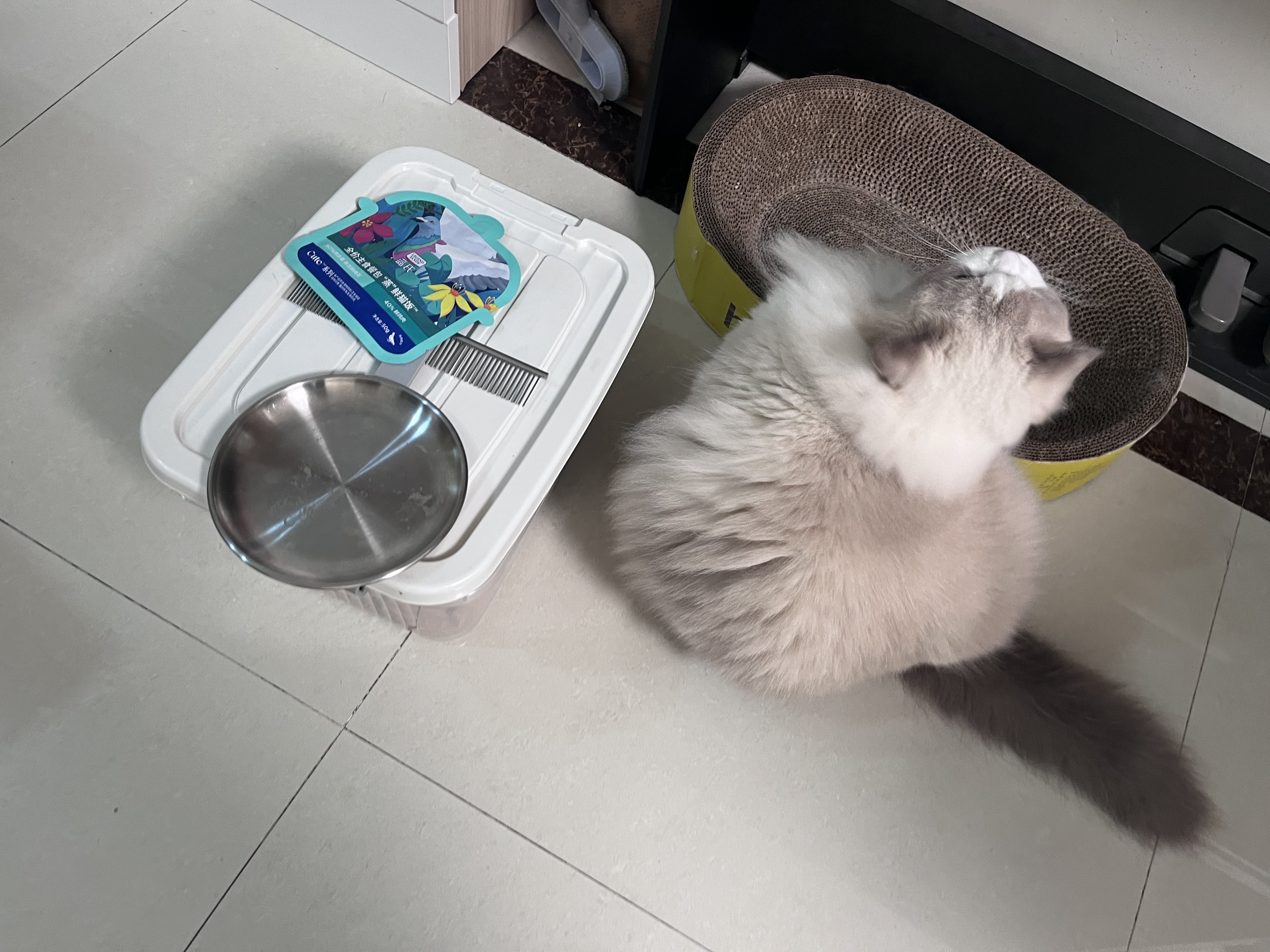 LEGENDSANDY蓝氏猫零食全价主食猫条成猫幼猫鲜肉猫湿粮罐头混合口味16g*36支 实拍图