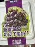 天润新疆特产润康0蔗糖低温酸奶  饭盒装原味酸牛奶  1kg*1盒 实拍图