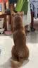 比乐鸭肉梨成幼犬通用狗粮15kg小型中大型犬粮30斤【宠物金选】囤货装 实拍图