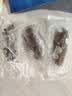 大鲜田大连有机即食海参3斤/30-48只固形物超85%辽刺参滋补礼盒源头直发 实拍图