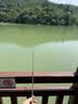 SIMAGO喜曼多儿童鱼竿迷你短节手竿套装碳素钓鱼竿小孩专用鲫鱼竿1.8米 实拍图