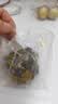 半山农桑叶双瓜茶250克(50包) 降冬瓜茶血糖养生专用茶包清凉苦瓜茶 实拍图