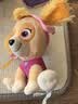 汪汪队立大功（PAW PATROL）毛绒玩具狗狗玩偶经典款天天小号坐姿公仔男女孩儿童生日礼物 实拍图