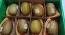 佳沛（zespri）新西兰金奇异果12粒特大果124-146g猕猴桃中秋节礼品送水果礼盒 实拍图