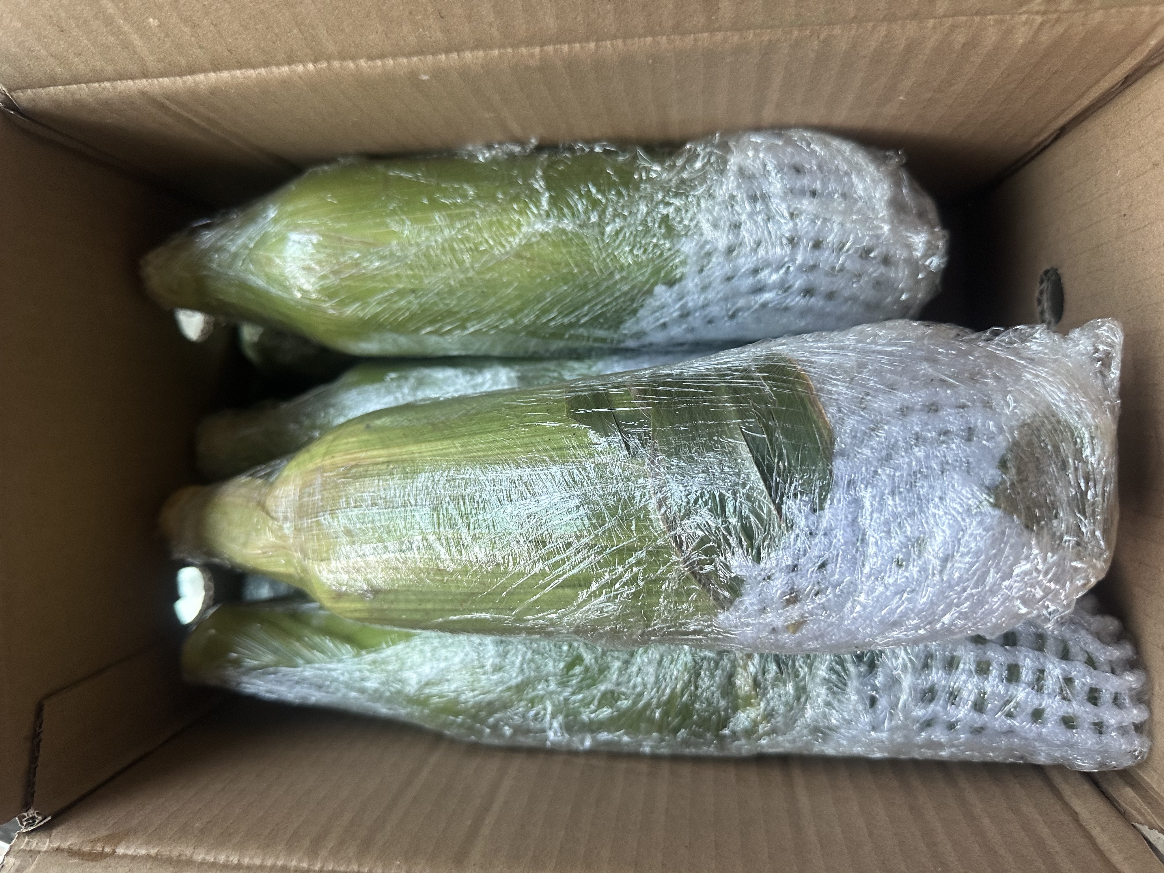 京鲜生 云南金银鲜水果玉米 带皮净重5斤单果300g+新鲜嫩包谷  源头直发 实拍图