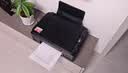 连盛佳能G3800 G3810 G2810墨水适用佳能epson G2800 G1810 G4810 3811 2812 2811 1800打印机墨水GI-890墨水四色 实拍图