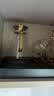 青苹果耐热玻璃冷水壶茶壶11件套 凉水壶水杯杯架托盘杯刷茶叶罐 实拍图