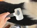 憨憨乐园宠物狗猫梳子猫毛狗狗毛猫咪梳毛器专用刷毛去除清理去浮毛神器 实拍图