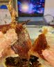 思香逢湖南腊肉腊味6款2.88斤酱板鸭长沙特产中秋节日送人熟食伴手礼盒 实拍图