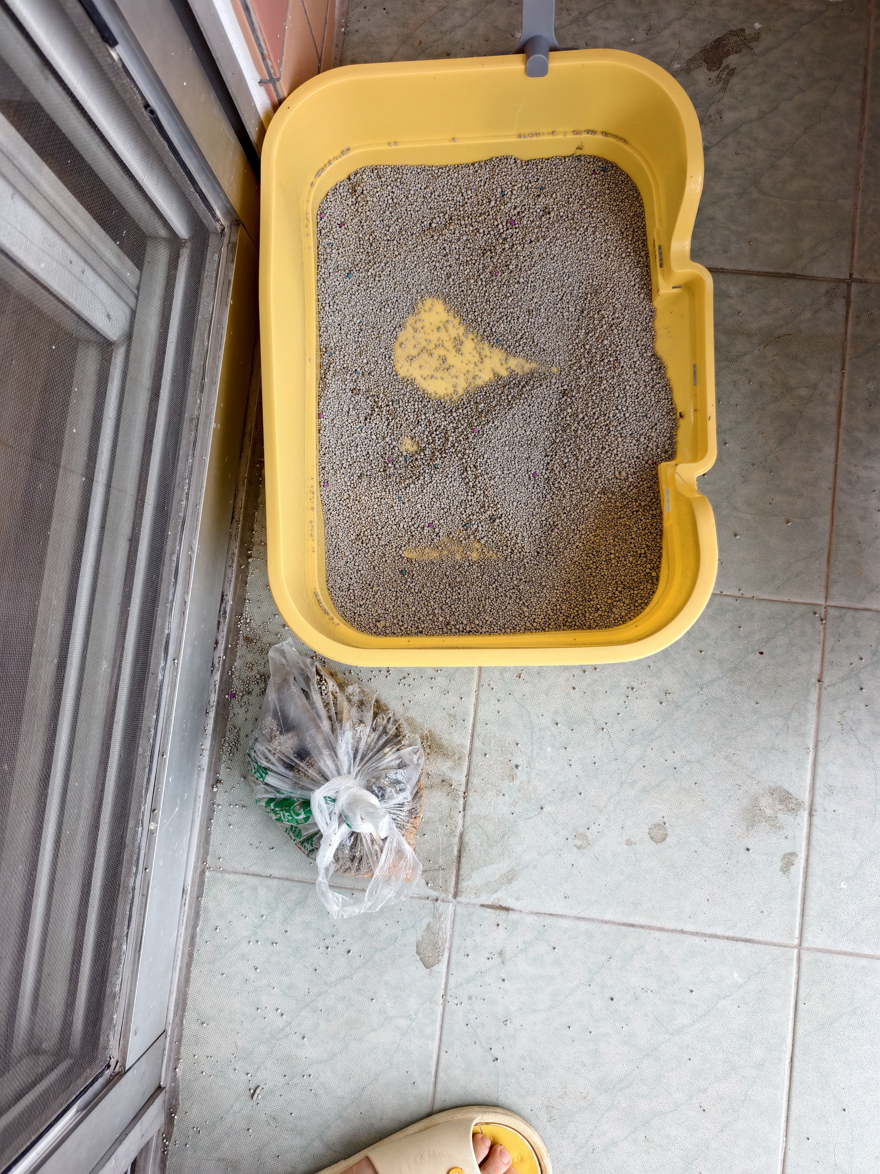 木槿榆猫砂除臭20斤装50斤10kg膨润土大颗粒低尘活性炭砂猫沙用品 5kg原味猫砂【实惠】 10斤装【共1包】 实拍图