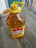 鲁花 食用油  非转基因 玉米油 桶装 5L  实拍图