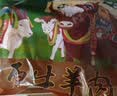 往来白丁 内蒙古羊杂2斤净重 新鲜羊肉羊肚羊肠羊头肉心汤碎火锅食材 生鲜 实拍图