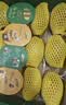佳沛（zespri）新西兰金奇异果10粒巨大果146-175g猕猴桃中秋节礼品送水果礼盒 实拍图
