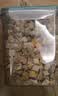 WEYES冻干7拼混合桶500g宠物猫狗零食冻干鸡肉鸡胸肉鸭肉粒营养补充 实拍图