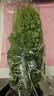 带根香菜100g 实拍图