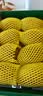 佳沛（zespri）新西兰金奇异果8粒超大果175-204g猕猴桃中秋节礼品送水果礼盒 实拍图