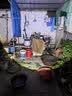 奥克斯强光手电筒超亮变焦远射长续航白激光户外骑行家应急专用灯知了猴 实拍图
