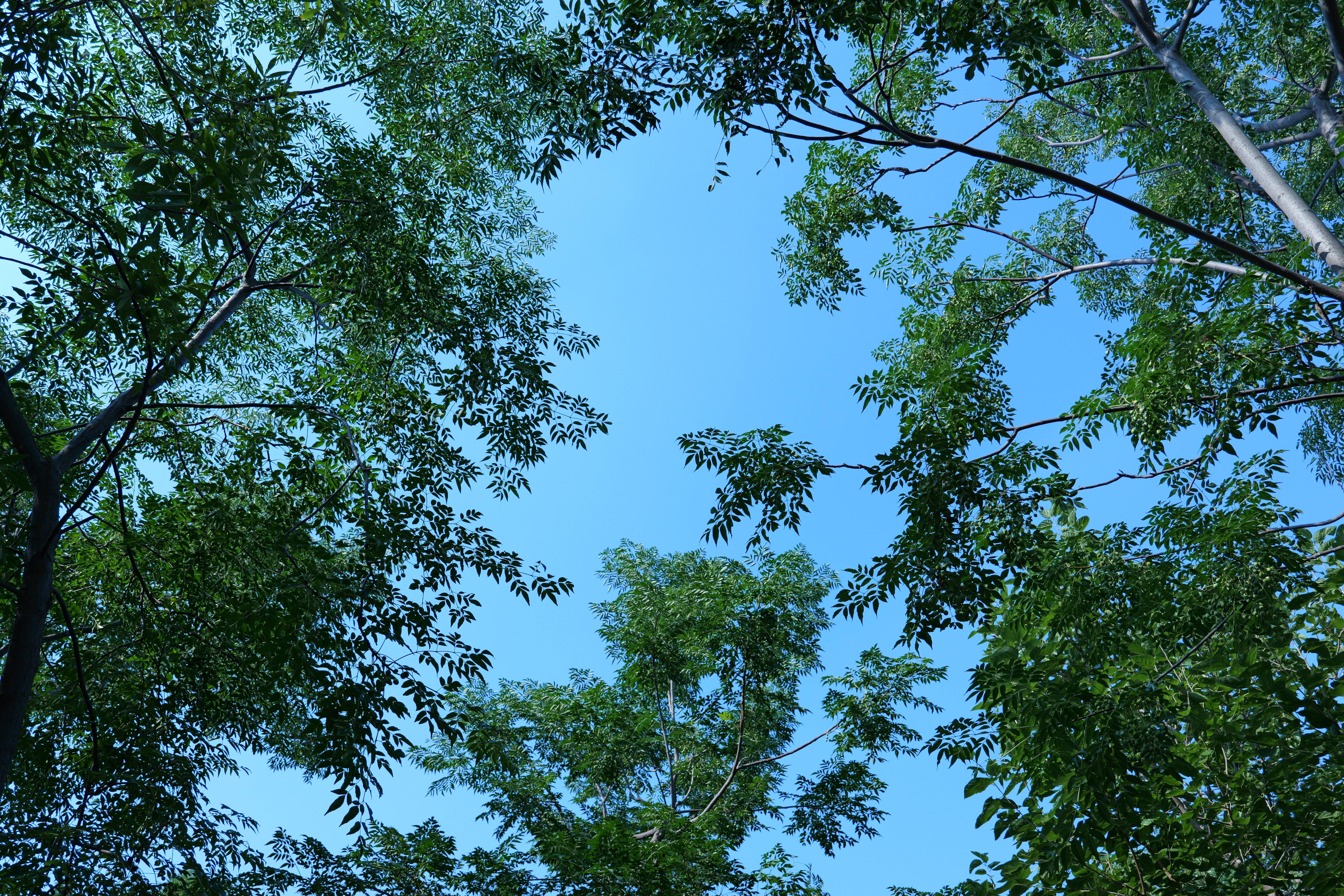 松下【24期免息】S9（18-40mm F4.5-6.3）套机 （Panasonic）全画幅微单 实时Lut直出app极速分享-灰银 实拍图