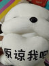立曼道歉狗生日礼物送女生哄女朋友老婆会道歉玩偶公仔毛绒玩具睡觉抱 呆萌狗白（原谅我吧）拍打道歉 35cm【彩袋+贺卡】 实拍图