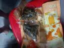 真真老老粽子礼袋蛋黄肉粽130克*4只嘉兴肉粽子特产浙江老字号速食早餐 实拍图